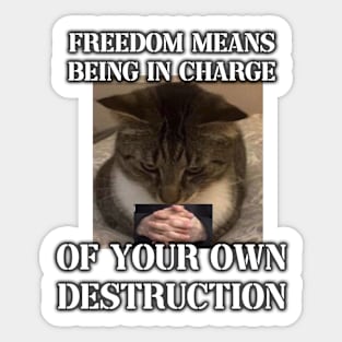 freedom means being in charge of your own destruction Sticker